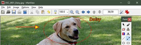 IrfanView Software 的图像结果
