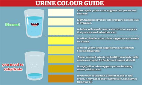 Urine Drug Test Result Form Template - prntbl.concejomunicipaldechinu ...