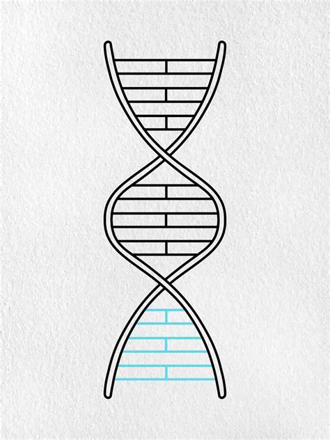 How to Draw DNA - HelloArtsy