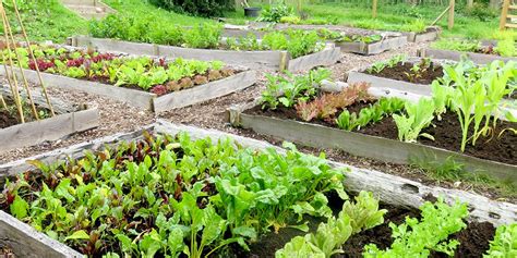 Image result for Soil Bio Technology