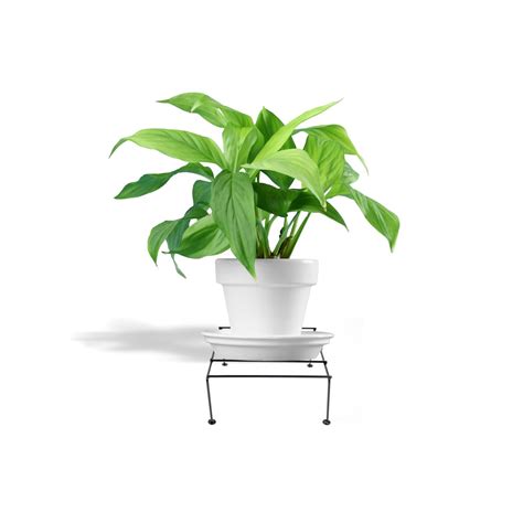 NAYRA Strong Stylish Four legs Design Metal Square Shape stands For ...