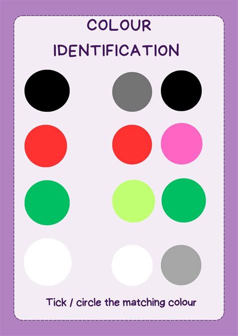 Color Identification 的图像结果