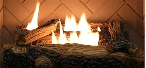 Image result for Gas Log Inserts