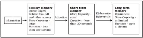Human Memory Class 11 Psychology