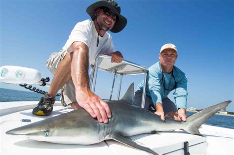 Shark Fishing Charters with Capt. Jordan Pate