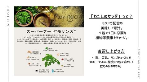 【どんな味？】国産NMNプロテインお試しセット | kenbikenbic