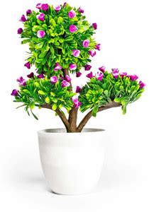 Litleo Beautiful Tree for home office , table reception Bonsai Wild ...