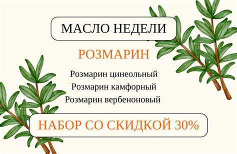 Масло недели - РОЗМАРИН — Магия флоры