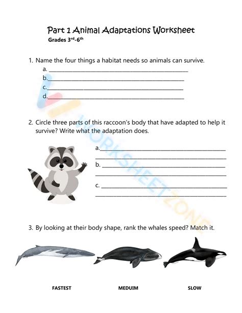 Adaptations KS3 的图像结果