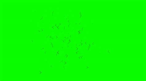 Stream Greenscreen 的图像结果