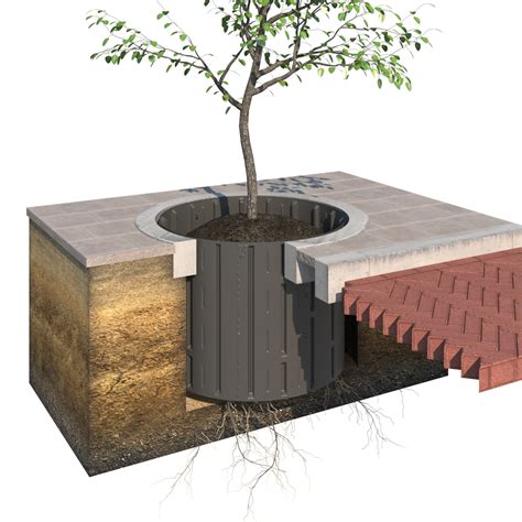 Image result for Tree Root Guard