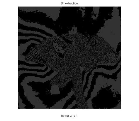 Bit Plane Slicing MATLAB 的图像结果