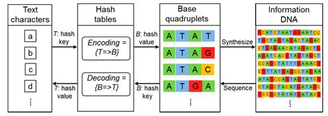 Long-Term Stability and Integrity of Plasmid-Based DNA Data Storage