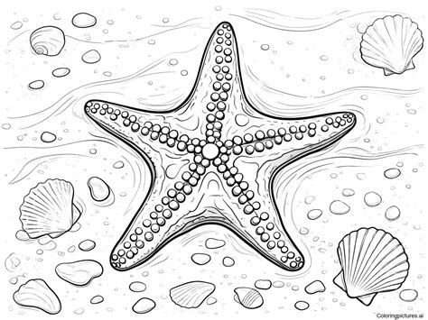 Starfish - Free Printable Coloring Page