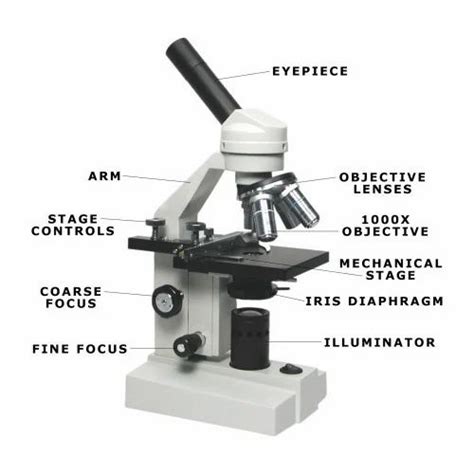 Image result for Video Microscope Play