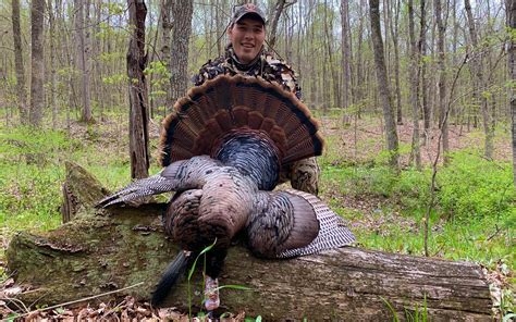 Image result for Spring Turkey Calling Tips