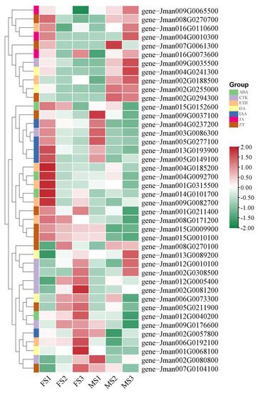 Characterization of Phytohormones and Transcriptomic Profiling of the ...