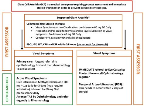 Gca Vs Temporal Arteritis at Terri Whobrey blog