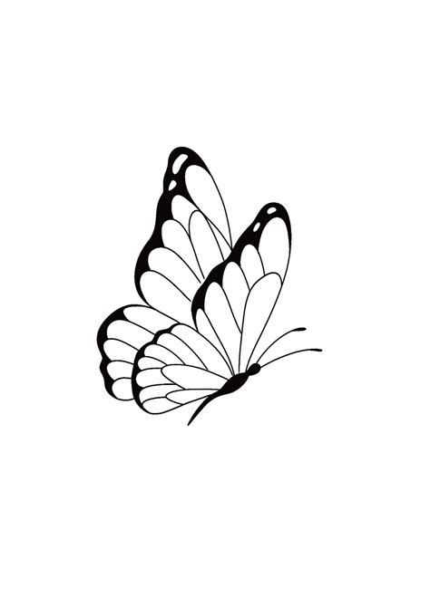 Pin by Alé Tattoo " on Borboleta | Butterfly art drawing, Butterfly ...