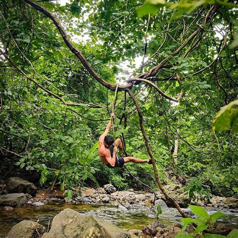JUNGLE BOY (2025) All You Need to Know BEFORE You Go (with Photos ...
