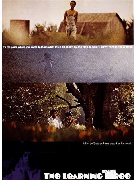 Image result for The Learning Tree Cast