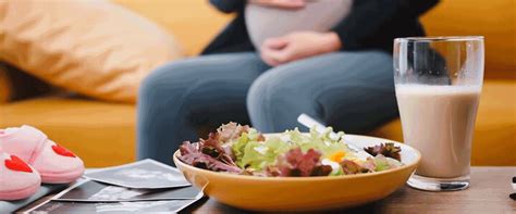 Ketogenic Diet Shields Developing Brains from Prenatal Stress, Study ...
