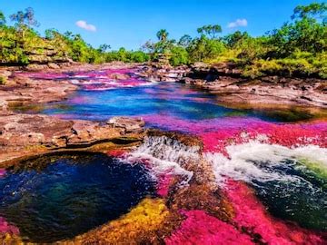 Nature Wonder: ಪ್ರಕೃತಿಯ ಅದ್ಭುತ ಈ ಐದು ಬಣ್ಣಗಳ ನದಿ, ದ್ರವರೂಪದ ಮಳೆಬಿಲ್ಲನ್ನು ...