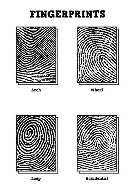 Image result for Fingerprint Patterns Worksheet
