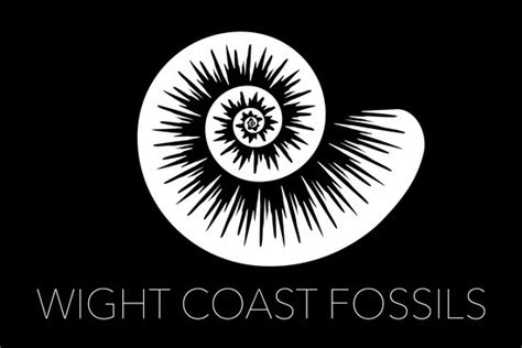 Isle of Wight Fossil Walks- Wight Coast Fossils - Ventnor | Tripadvisor