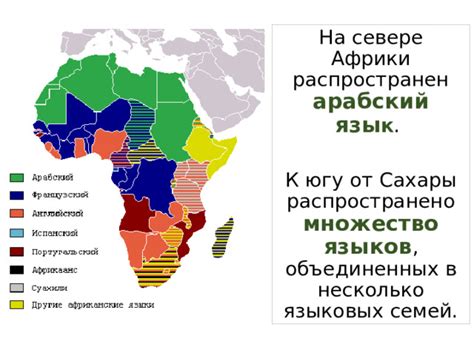 Человек на африканском континенте, 7 класс