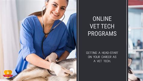 Image result for Accredited Vet Tech Programs