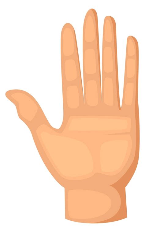 Right hand Images - Free Download on Freepik