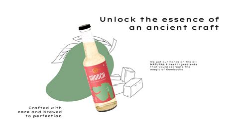 SBOOCH Buy India's Best Kombucha online Shop tasty Gut Health Drink