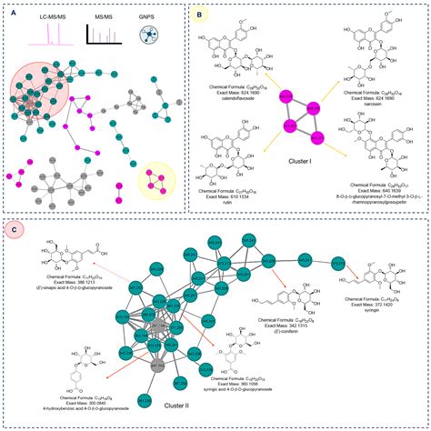 Global Natural Products Social (GNPS)-Based Molecular-Networking-Guided ...