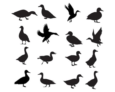 Duck silhouette flat icon | Premium Vector