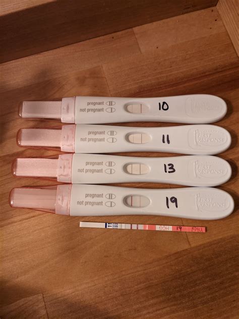 Days Past Ovulation Pregnancy Test 7 DPO: What About Pregnancy Test At