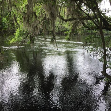 SUWANNEE RIVER STATE PARK (Live Oak) - Campground Reviews & Photos ...