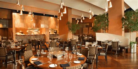 Restaurant Insurance Coverage 的图像结果