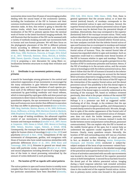 SOLUTION: The comparative anatomy of frontal eye fields in primates ...