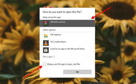 Open Zip File Windows 8 的图像结果