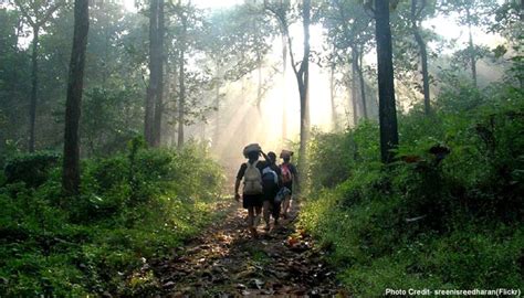 Sabarimala Ayyappan Temple - Sabarimala Pilgrimage Kerala Sabarimala ...