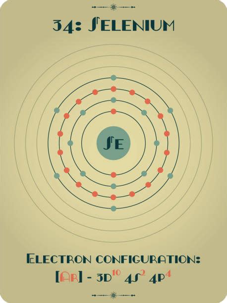 Image result for Atom Structure of Selenium
