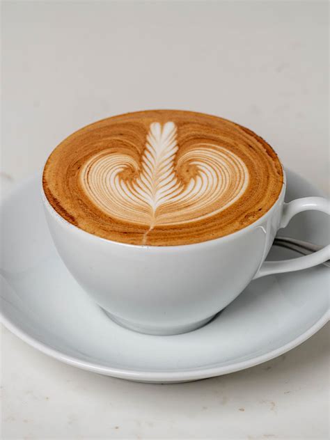 Recipes - Essential Cappuccino | Sage