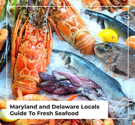 Locals Guide To Fresh Seafood