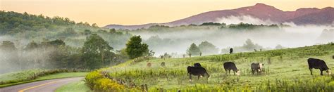 THE 1850 HOTEL (Boone) - Specialty Hotel Reviews, Photos, Rate ...