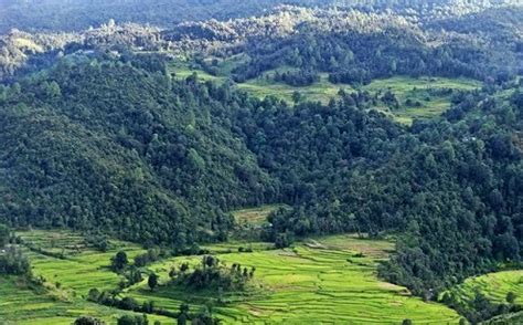 Didihat Town, Geography of Didihat, Didihat Hill Station Uttarakhand