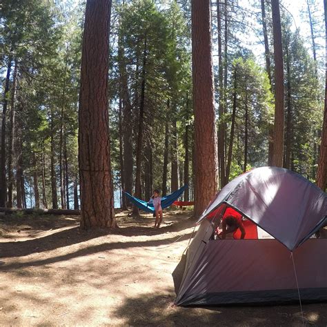 Jenkinson Campground—Sly Park Recreation Area Camping | The Dyrt