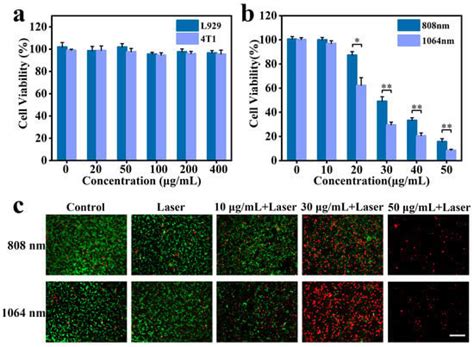 Polypyrrole Nanosheets Prepared by Rapid In Situ Polymerization for NIR ...