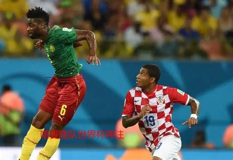 喀麦隆国家队2017年非洲国家杯主场球衣 , 球衫堂 kitstown