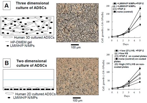 Biomedical Application of Low Molecular Weight Heparin/Protamine Nano ...